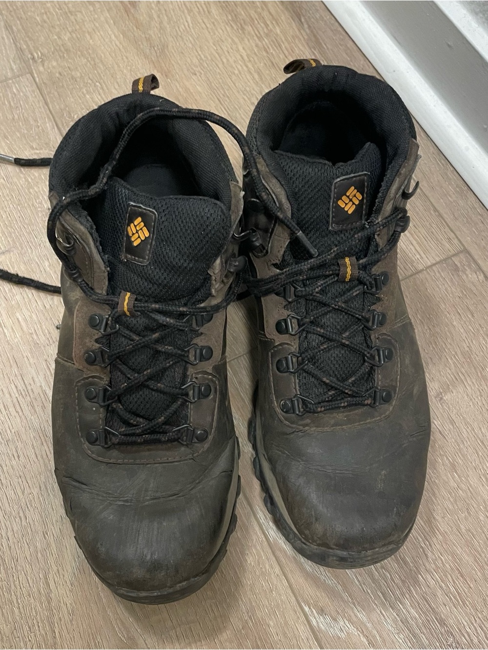 Columbia Men's Newton Ridge Plus II Waterproof Hiking Boots